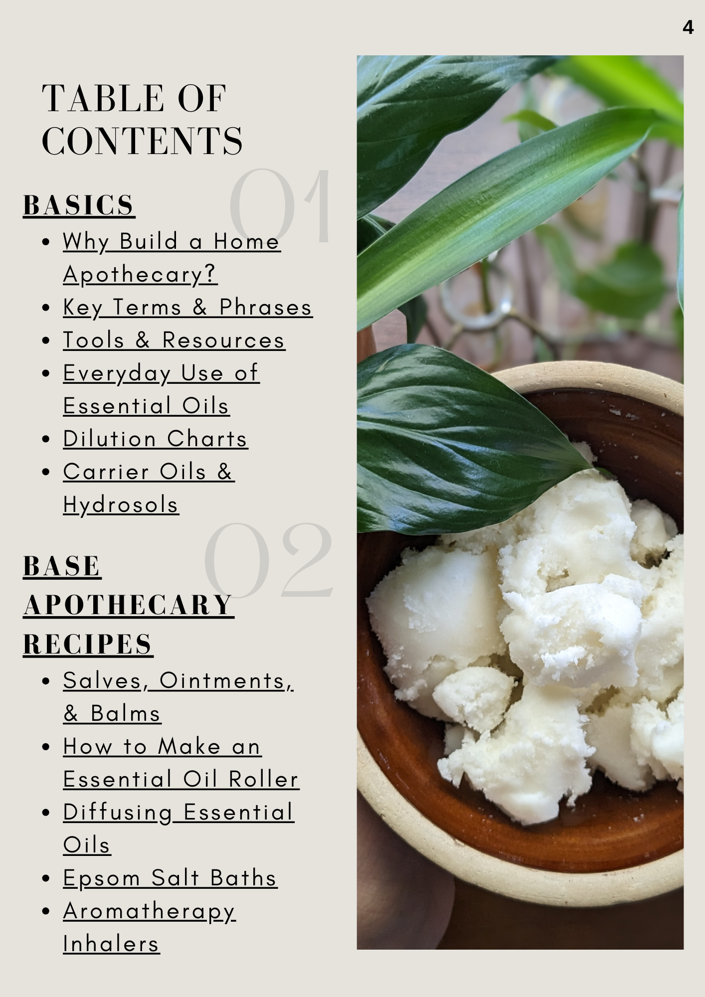 Holistic Home Apothecary (PDF Download)